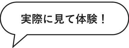 実際に見て体験